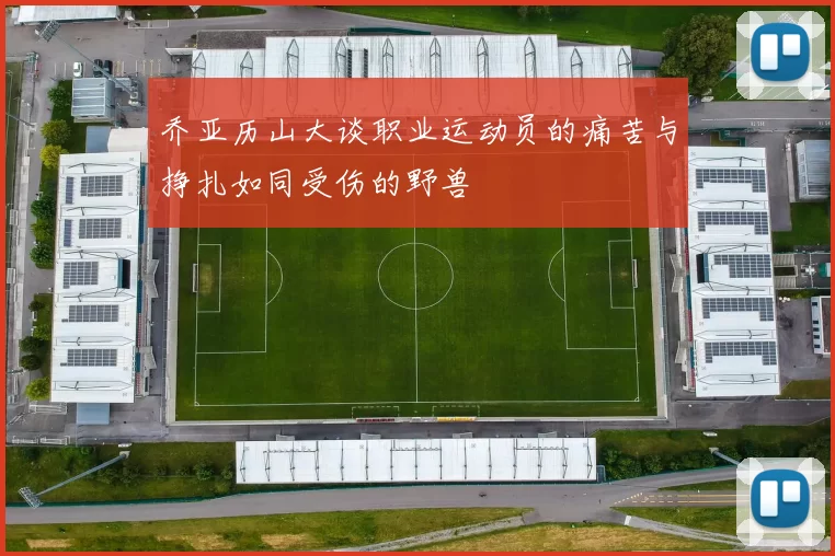 乔亚历山大谈职业运动员的痛苦与挣扎如同受伤的野兽